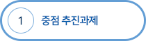 중점 추진과제