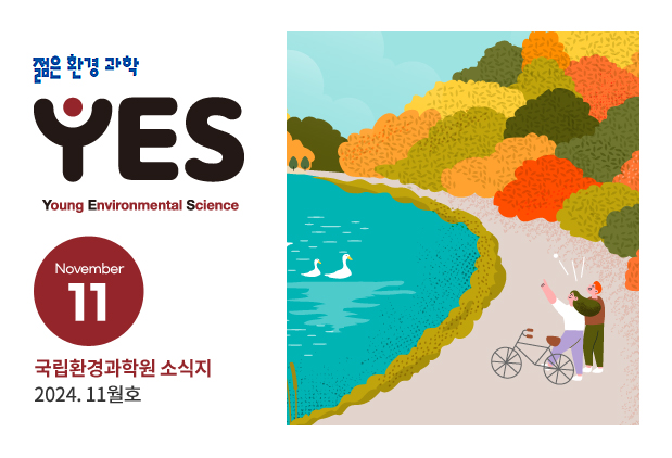 2024년 11월