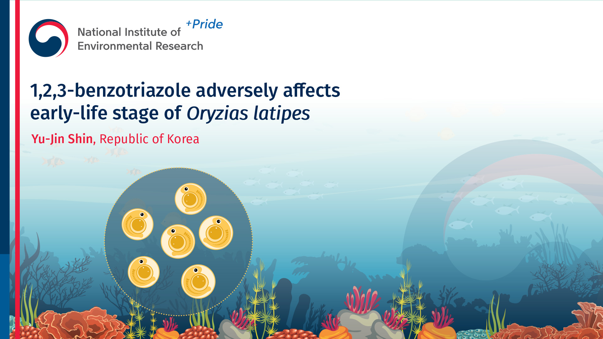 1,2,3-benzotriazole adversely affects early-life stage of